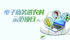 電子商務進農村示范項目